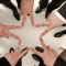 대표 사진