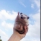 대표 사진