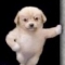 대표 사진