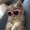 대표 사진