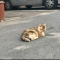 대표 사진