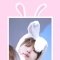 대표 사진