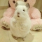 대표 사진