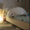 대표 사진