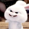 대표 사진