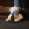 대표 사진