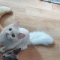 대표 사진