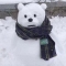 대표 사진
