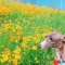 대표 사진