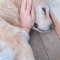 대표 사진