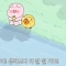 대표 사진