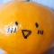 대표 사진