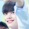대표 사진