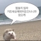 대표 사진