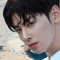 대표 사진