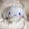 대표 사진