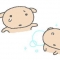 대표 사진