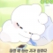 대표 사진