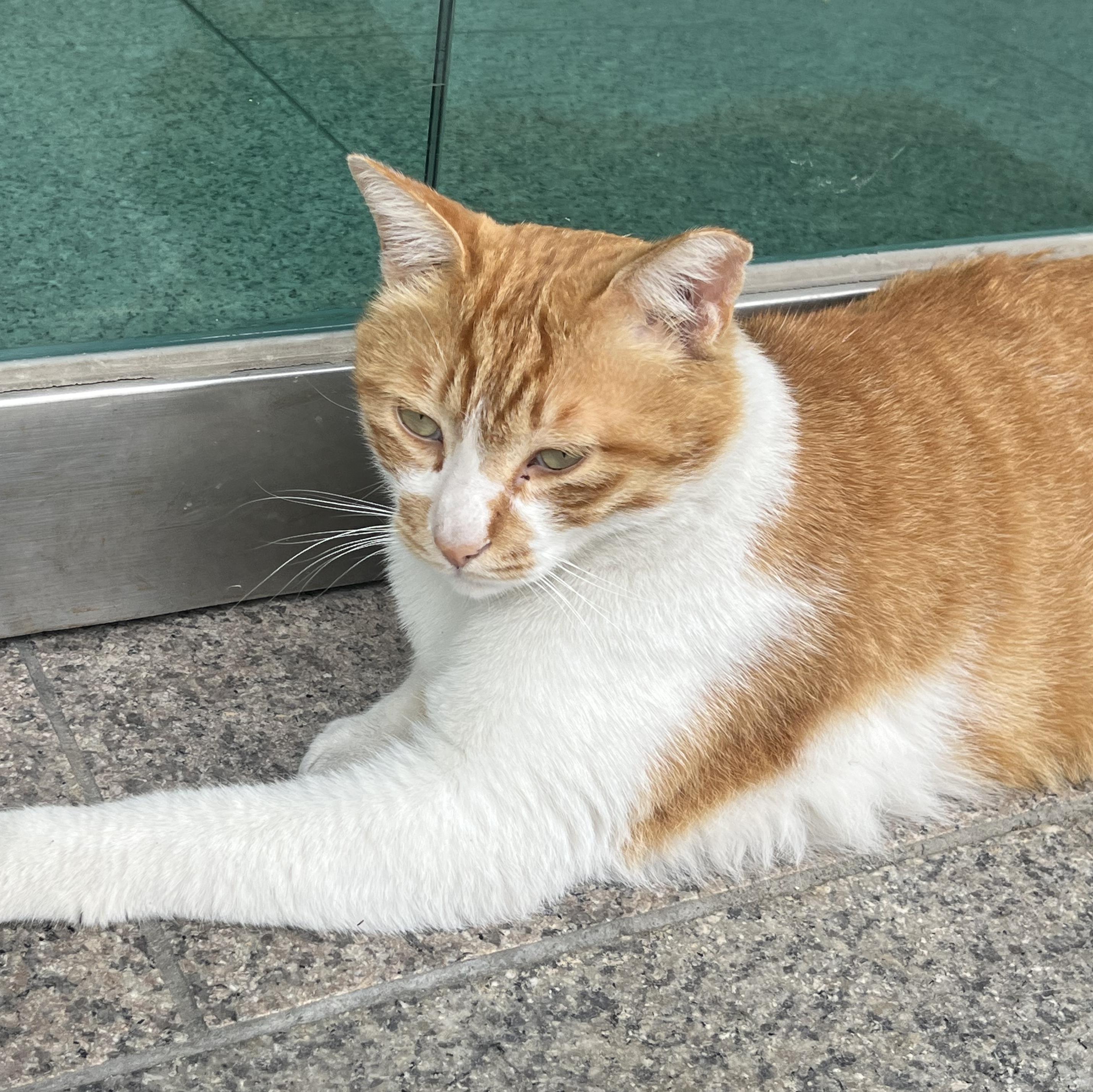 대표 사진