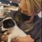 대표 사진