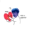 대표 사진
