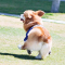 대표 사진