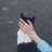 대표 사진