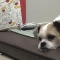 대표 사진