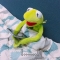 대표 사진