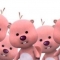 대표 사진