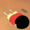 대표 사진