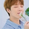 대표 사진