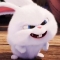 대표 사진