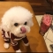 대표 사진