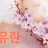 대표 사진
