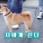 대표 사진