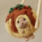 대표 사진