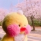 대표 사진