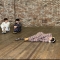 대표 사진