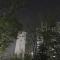 대표 사진
