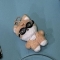 대표 사진