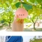 대표 사진