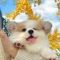 대표 사진