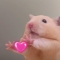 대표 사진