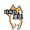 대표 사진