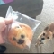 대표 사진
