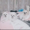 대표 사진