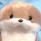 대표 사진