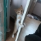 대표 사진