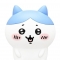 대표 사진